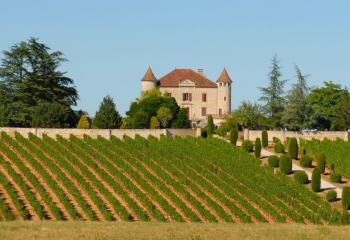 French Chateau and Vineyard