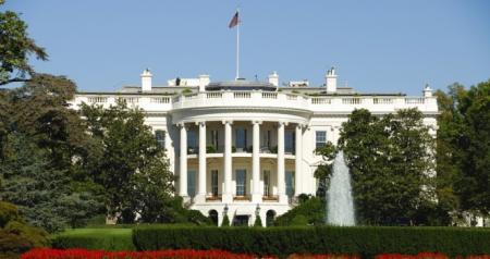 The white house