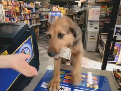 pet buys a lotto ticket